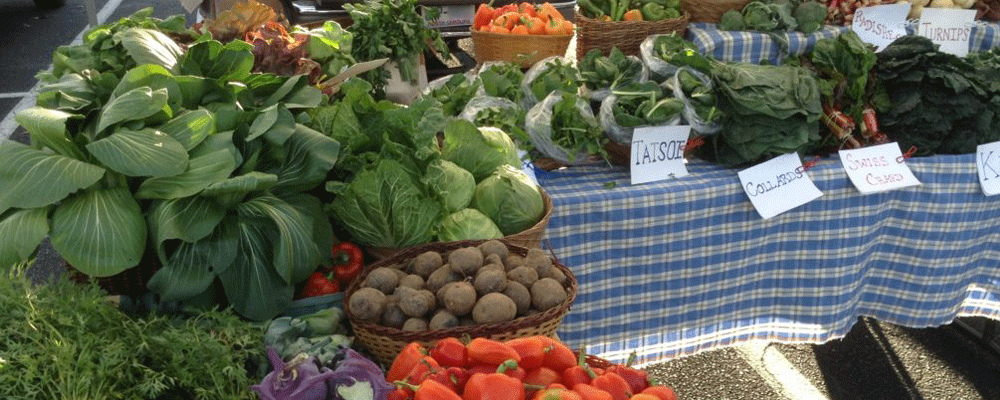 A sample of the veggies available from Dig It Farm in Durham, NC.